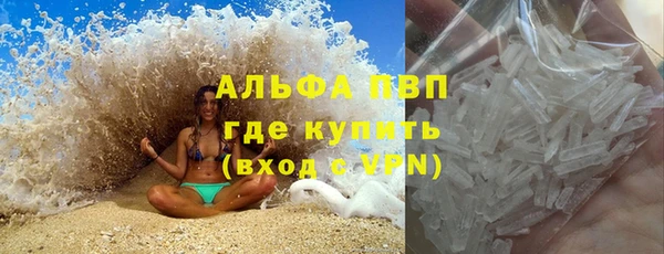 PSILOCYBIN Ладушкин