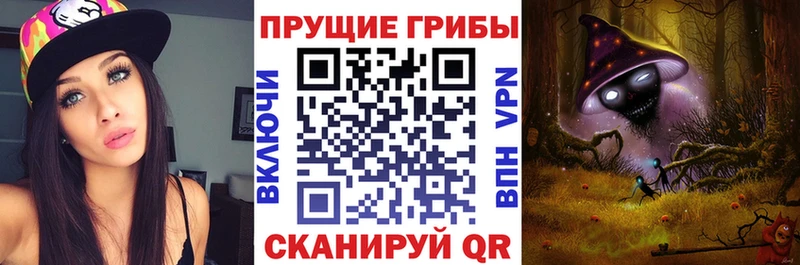 купить наркотики сайты  Лагань  Псилоцибиновые грибы мицелий 